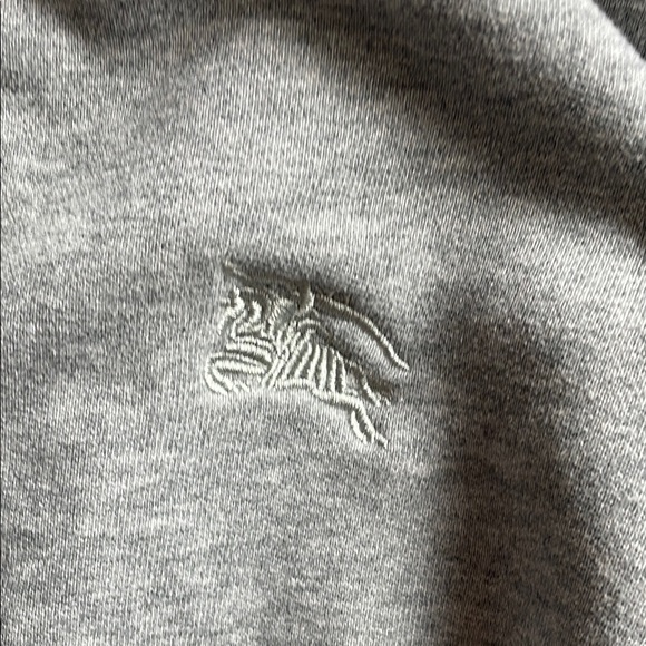 Burberry Gray Hoodie with Plaid Lining Size XL - Picture 2 of 6